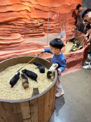 -Zoolung Zoolung动物主题公园(海信广场店)