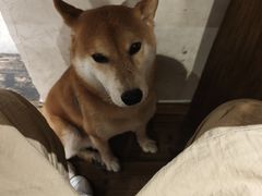 -三目仓咖啡(贤南路店)