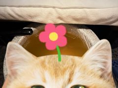 -新盈光·云会所(百丈东路店)