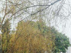 -广东花都湖国家湿地公园
