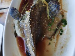 -蓝湾碧波·老字号·疍家非遗海上餐厅