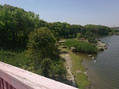 -美兰湖景区