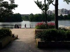 -新江湾城公园