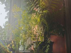 -哈尔滨北方国际青年旅舍(中央大街店)