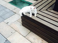-扬州东关街文昌阁桔子水晶酒店