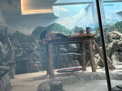 -武汉动物园