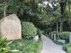 -十八棵（老龙井）御茶园(老龙井店)