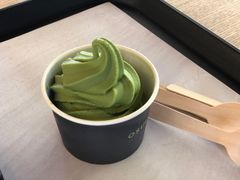 -雪绿茶博物馆