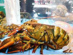 -紫阳海鲜楼·传承闽味(长乐路总店)