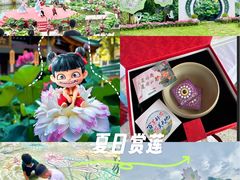 -广州莲花山旅游区