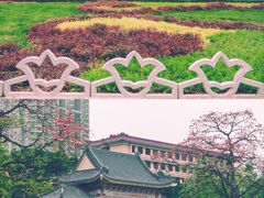 -广州中山纪念堂