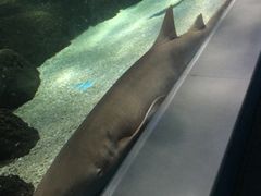 -常州海昌海洋探索馆