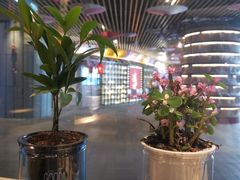 -沼津港精致料理·寿喜烧·烧鸟(漕河泾印象城店)