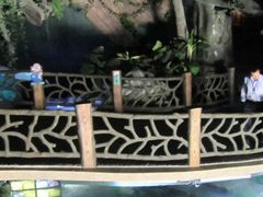 -苏州海洋馆