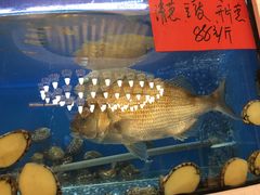 -壹只菜·崇明本地特色菜(崇明南门店)