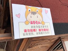 -大唐BINGO主题酒吧互动式KTV(苏宁生活广场店)