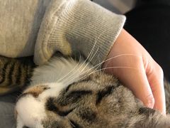 -平行世界·猫咖(首经贸店)