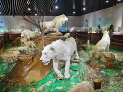 -陕西自然博物馆