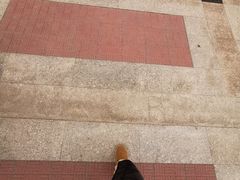 -中国建设银行(北京朝阳支行)