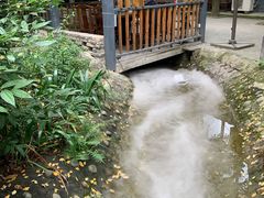 -凤来栖·净庭院·火锅(欧尚店)