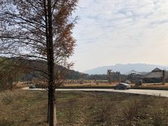 -杭州野生动物世界