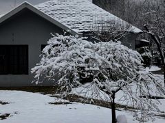 -新虹桥中心花园