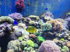 -珠海长隆海洋王国
