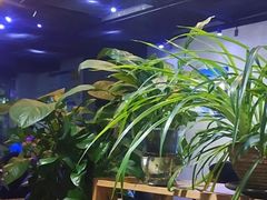 -云上千禾(水上店)