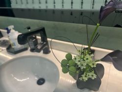 -苏州奥拉克美容医院