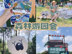 -南宁良凤江国家森林公园