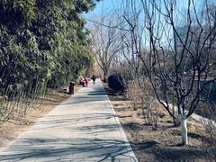 -元大都城垣遗址公园