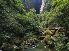 -龙水峡地缝景区