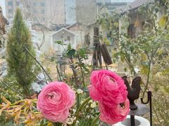 -Jo's Garden