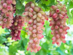 -大泽山风景名胜区