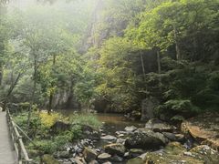 -汤旺河林海奇石景区