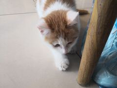 -平行世界·猫咖(首经贸店)