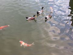 -东部华侨城