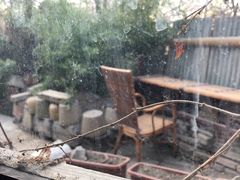 -斯多格书乡(北京大学畅春园店)