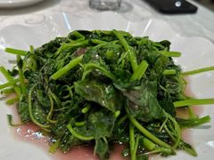 清炒时蔬-阿英煲(凉城路店)