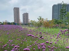 -杭州城北体育公园