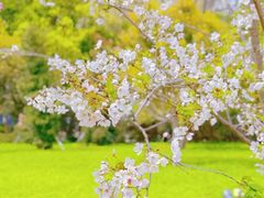 -迪士尼小镇