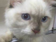 -国文影城(上海闸北店)