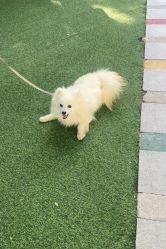 -萌宠亲子动物乐园(槐房万达店)