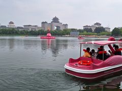 -莲花池公园