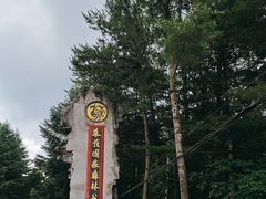 -朱雀国家森林公园