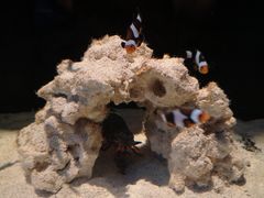 -沈阳海洋探索中心