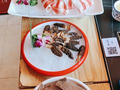 -淼福猪肚鸡·椰子鸡火锅(大沙地店)