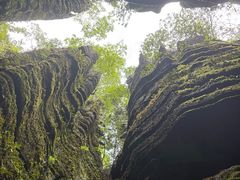 -梭布垭石林景区