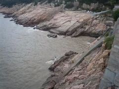 -兰剑驾校(汉阳校区)