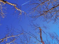 -野鸭湖国家湿地公园